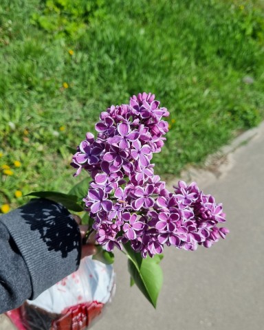 Марина Кравчук в LOOKY. . 🤩