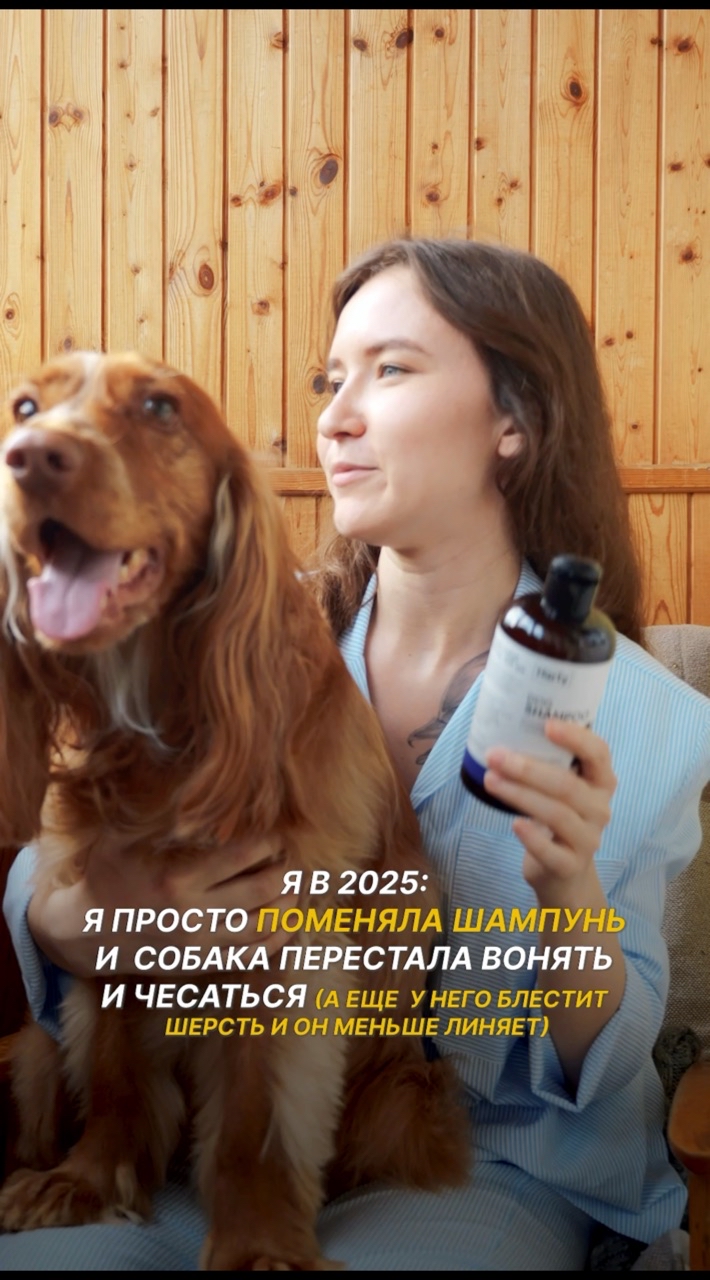 Оля и Йоки в LOOKY. #325216323,#собака,#спаниель. Шампунь - находка эт...
