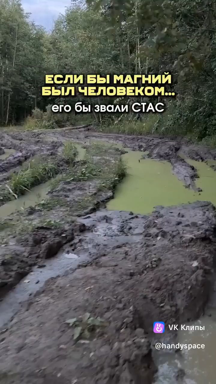  в LOOKY — публикация