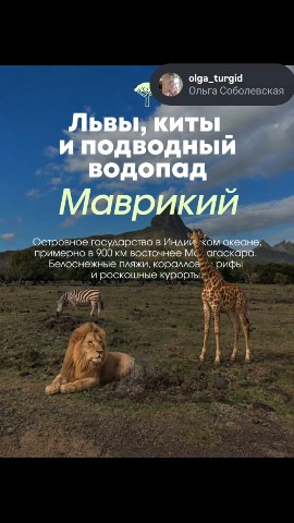 olga_turgid в LOOKY — ЛЬВЫ, КИТЫ И ПОДВОДНЫЙ ВОДОПАД 😌 МАВРИКИЙ 🇲🇺 

Маврикий -