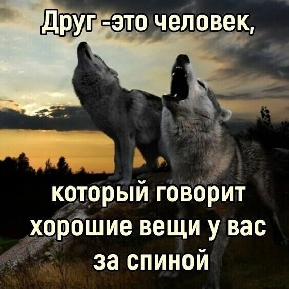 Алексей в LOOKY — публикация
