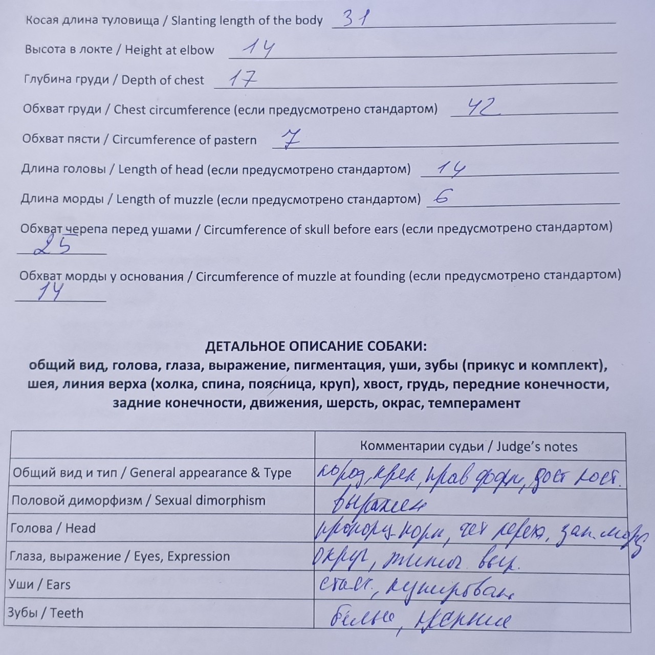 Элина Прилепкина в LOOKY — фото 3