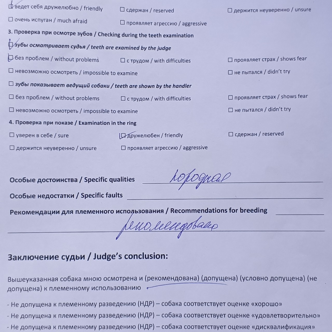 Элина Прилепкина в LOOKY — фото 5