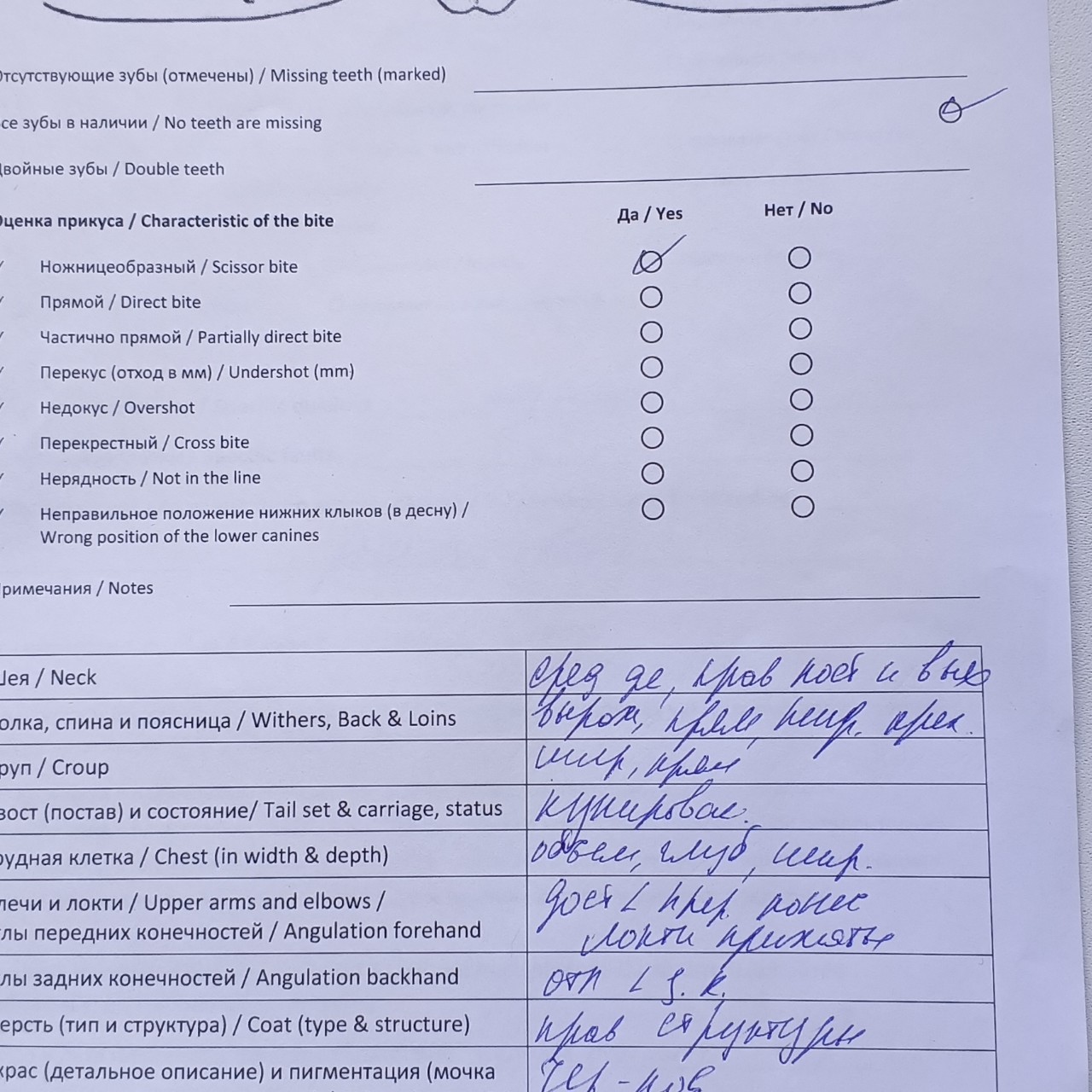 Элина Прилепкина в LOOKY — фото 4