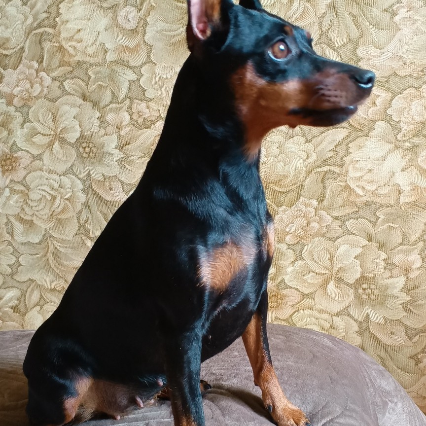 Элина Прилепкина в LOOKY — фото 2