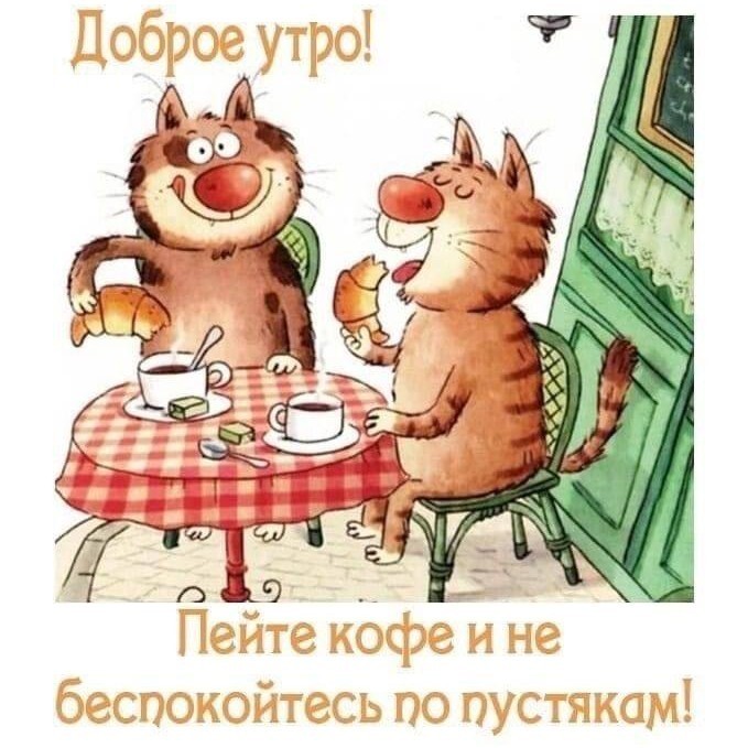 Looky_1670406886312