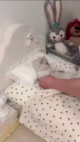 Likabell04 в LOOKY. . О, мой мимиметр зашк...