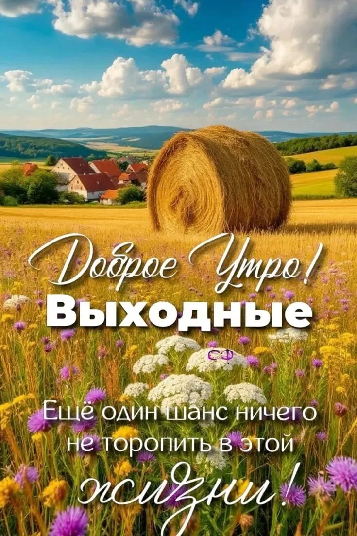 Сириус в LOOKY — публикация