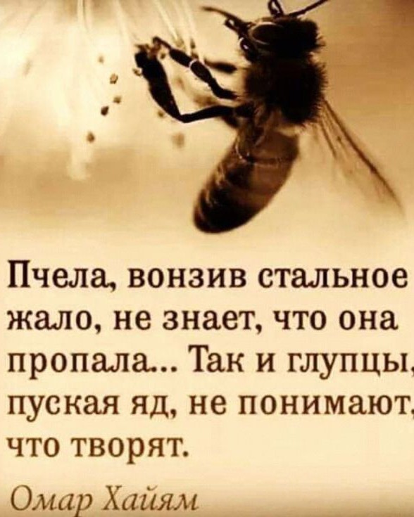 Natali 4 life в LOOKY — фото 2