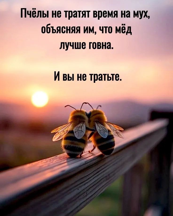 Natali 4 life в LOOKY. #мудрость#жизнь#мысли#размышления
Не. #мудрость#жизнь#мысл...