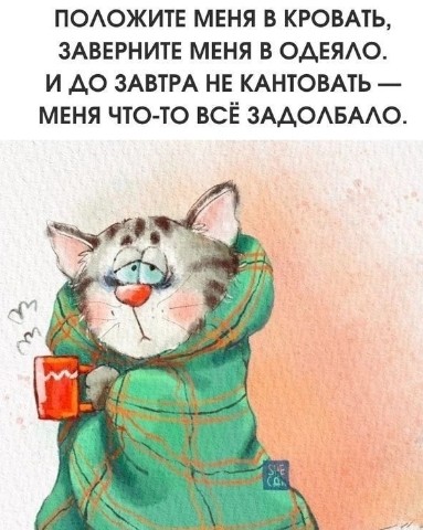 Black_Fox в LOOKY. . 