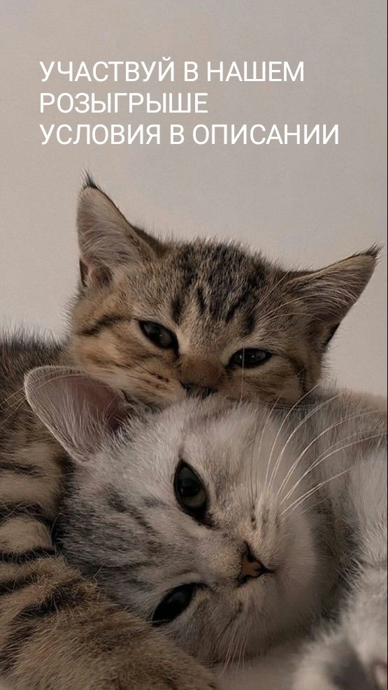 Кормолюб в LOOKY. . https://vk.com/kormo...