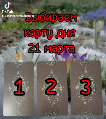 Looky_1673780729228 в LOOKY. . 