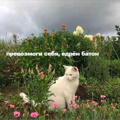 Есения Рецер в LOOKY. #искусство. Сейчас весна. А я в ...