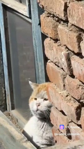 #Милашок