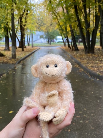 zotova_olga64 в LOOKY. #monkey#monkey_lover. Под дождем... 
#monk...
