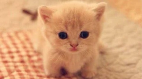 Looky_1698772013941 в LOOKY. . 🥰🥰