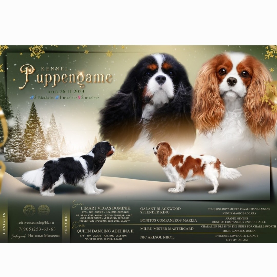puppengame in LOOKY