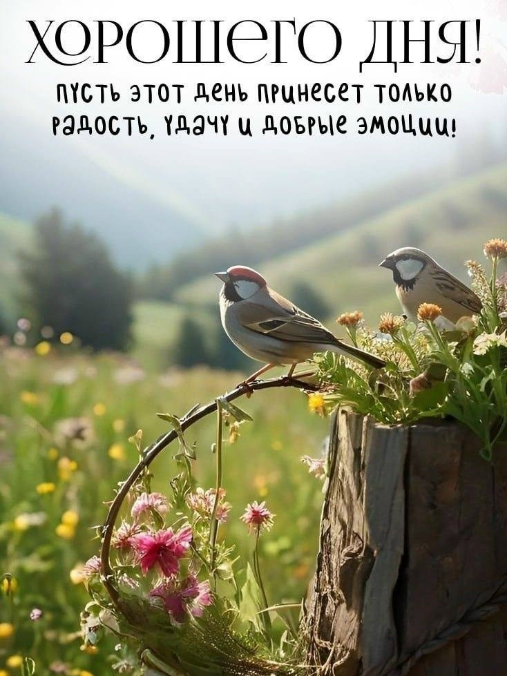 mikhailkichkinnnnnnnnnnnnnnnnnnn в LOOKY — публикация