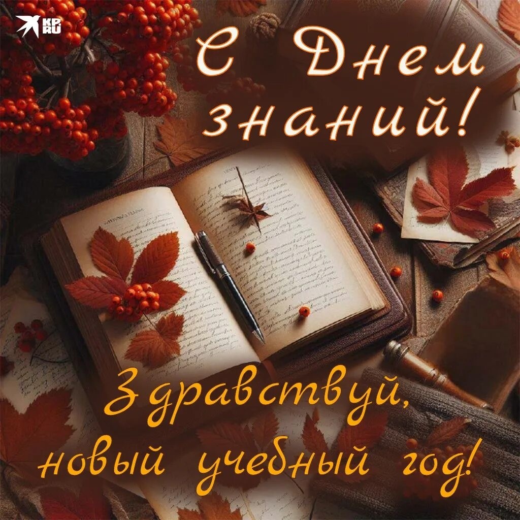 aleksei23111980 в LOOKY — #лес_рук