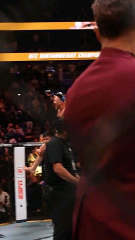 UFC  fighter в LOOKY. . PETER YAN CHAMPIONS ...