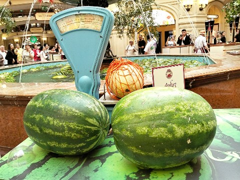 Looky_175282793490601 в LOOKY. . 