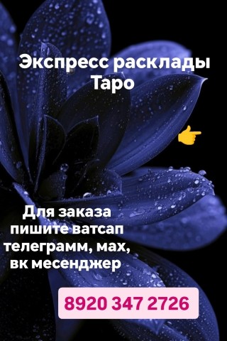 Таролог  Рена Эльф в LOOKY. . 