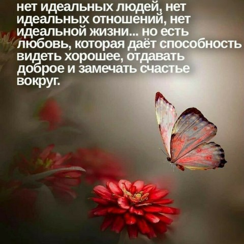 ВераНика в LOOKY. . ❤