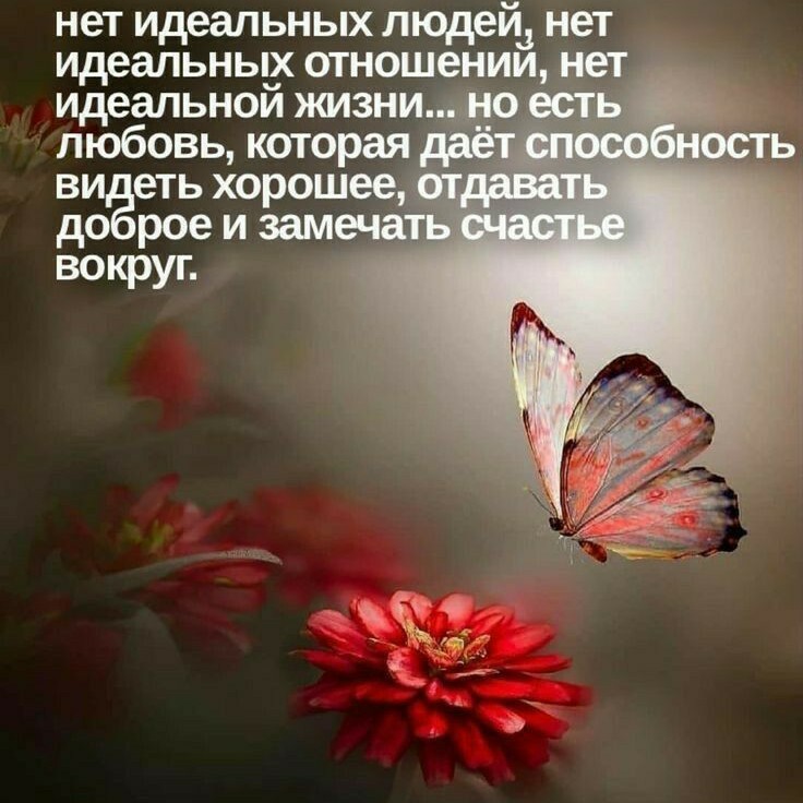 ВераНика в LOOKY — ❤