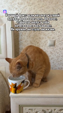 Дмитрий в LOOKY. . 