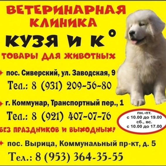 По городам и весям в LOOKY — фото 1