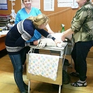 По городам и весям в LOOKY — фото 7