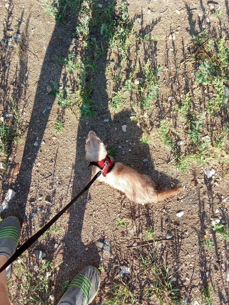  в LOOKY — публикация