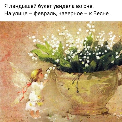Looky_1670333759851 в LOOKY. . 