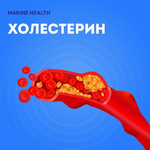 guzaliiasharifulina в LOOKY. #холестерин,#энергия,#БЕЛОК.,#интоксикация!,#marinehealth,#токсины,#печень,#жировойгепатоз,#лимфа,#кишечник,#жизнь,#здоровье,#москва,#спб,#приморск,#сахалин,#тюмень,#оренбург,#уфа,#магнитогорск,#новосибирск,#новокузнецк,#иркутск,#минск,#екатеринбург,#волгоград,#вологда,#казань,#томск,#тамбов. Холестерин!
❓А весь ...