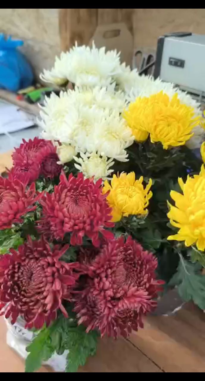 mylti_flora в LOOKY. . 
