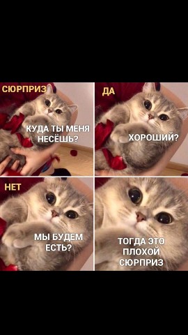 Марина в LOOKY. . 