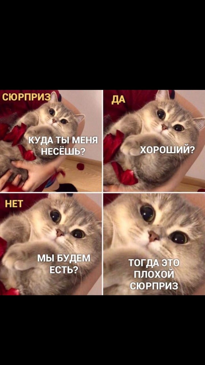 Марина in LOOKY. . 