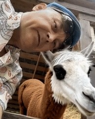 Нейроюмор_looky в LOOKY — Шустрый зверь..
