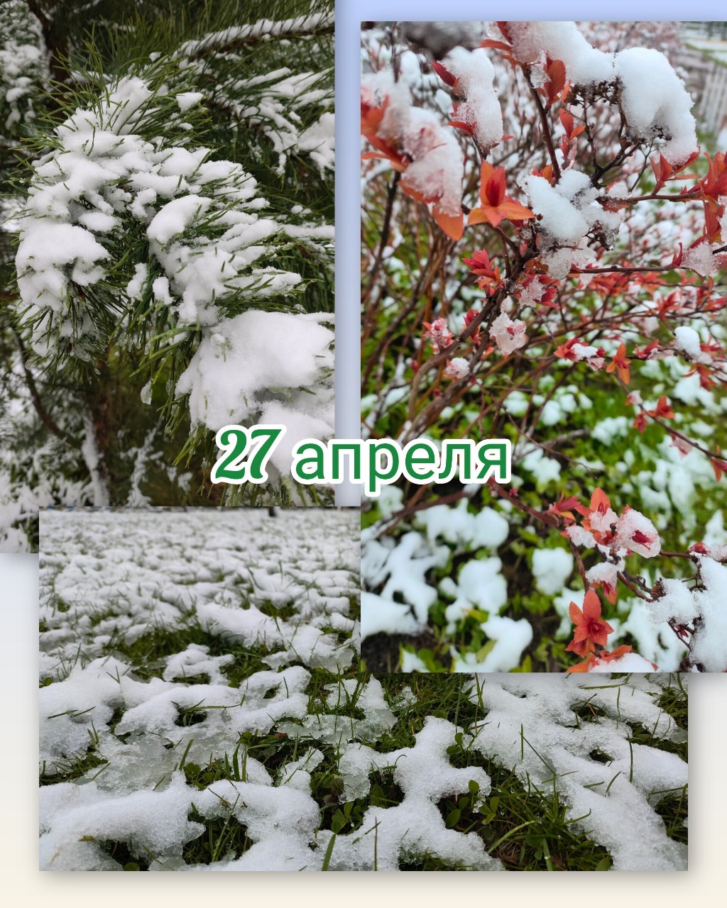 nezabudk_a1 в LOOKY — Красиво конечно❄ 
 Всем хорошего дня 😉