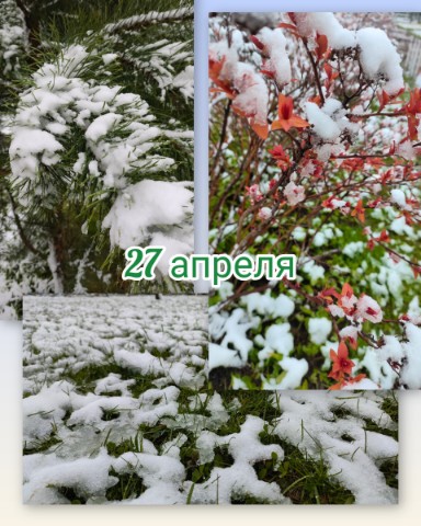 nezabudk_a1 в LOOKY. . Красиво конечно❄ 
 В...
