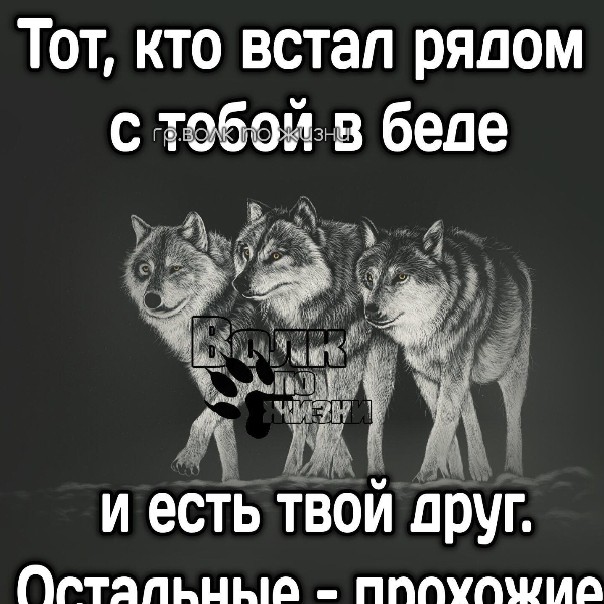 Анирам в LOOKY — публикация