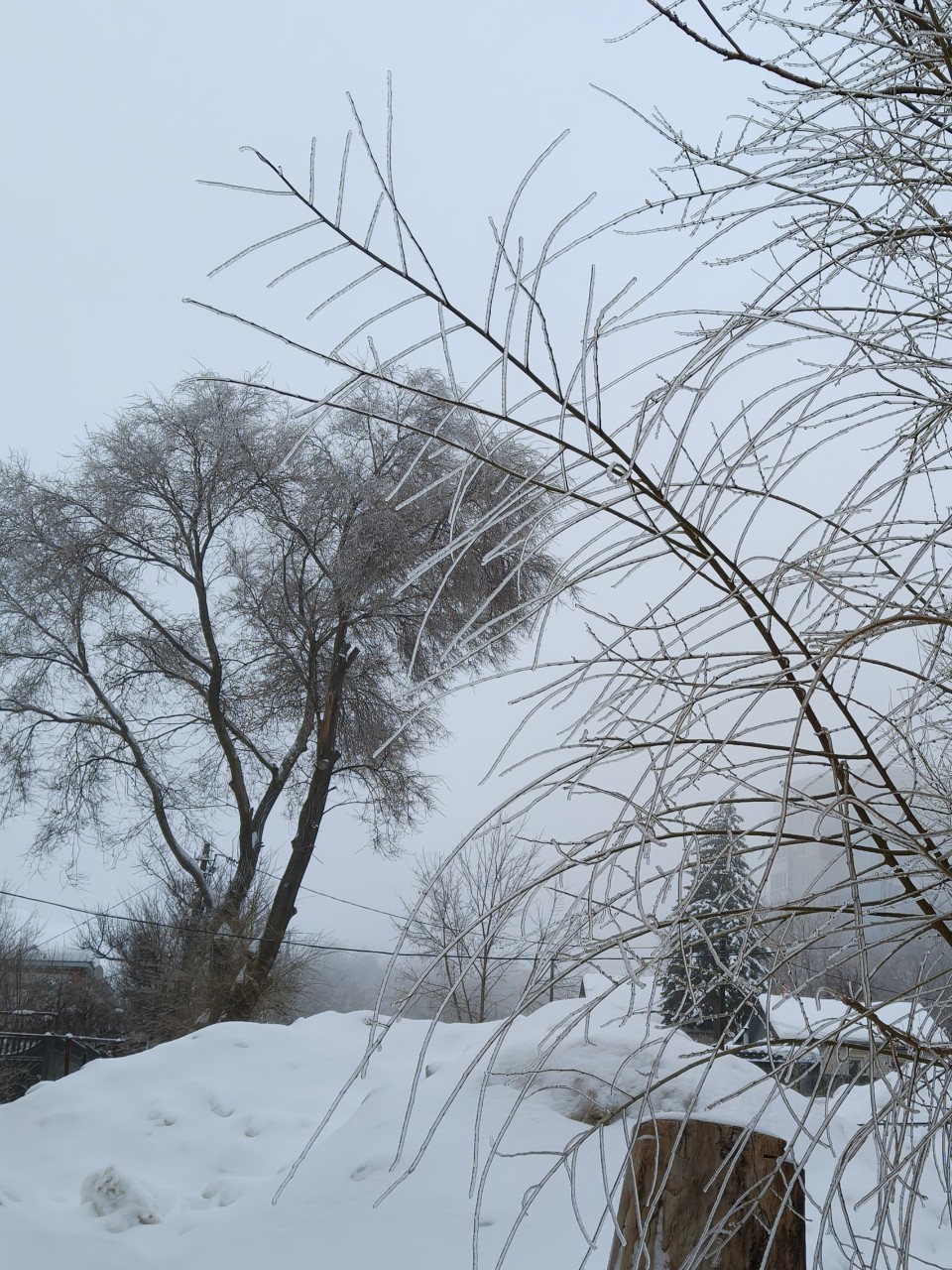 Sekret_Natali в LOOKY. . 1 февраля 2926 г. Зд...