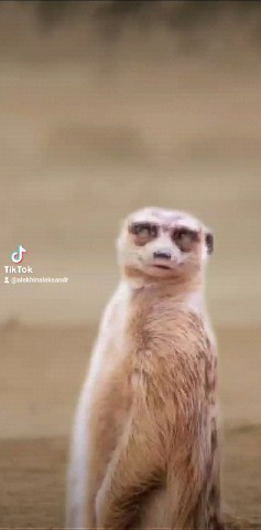 alekhin6608 в LOOKY. . Такое только в новый...