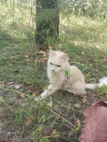 _Stasya_ в LOOKY. . 