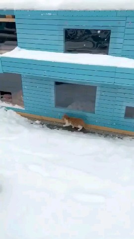 SllashFllow в LOOKY. . Зимний домик для кот...
