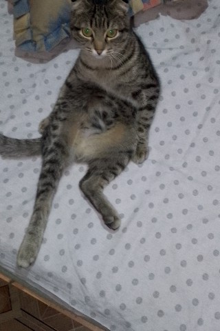 Looky_1721021213975 в LOOKY. . 