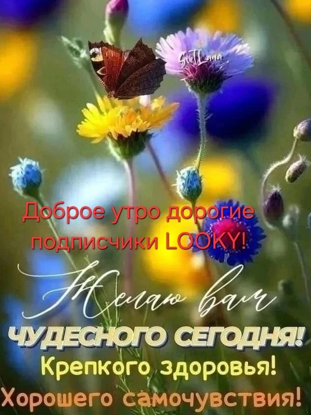 ДедМед в LOOKY — публикация