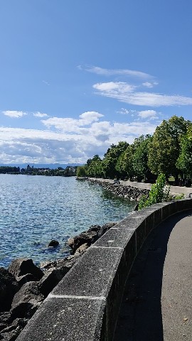 universeartificialintelligence в LOOKY. . 