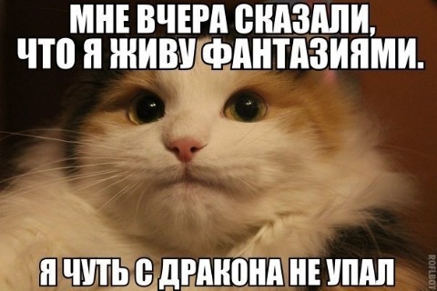 Vladimir Vladimirovich в LOOKY. . 